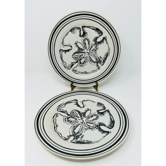 POTTERY BARN SAND DOLLAR Dinner Luncheon Plates Set of 2 ~Beach Coastal Nautical - Picture 1 of 12